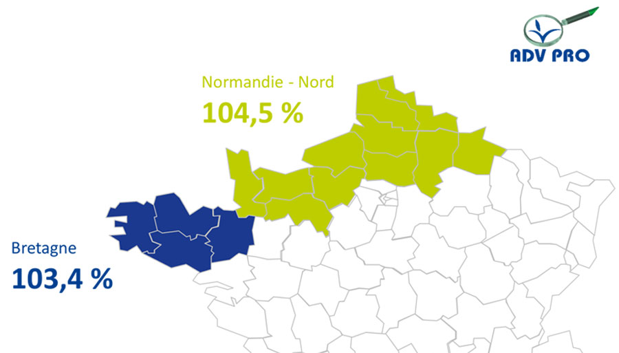 resultat rendement mais grain mantilla