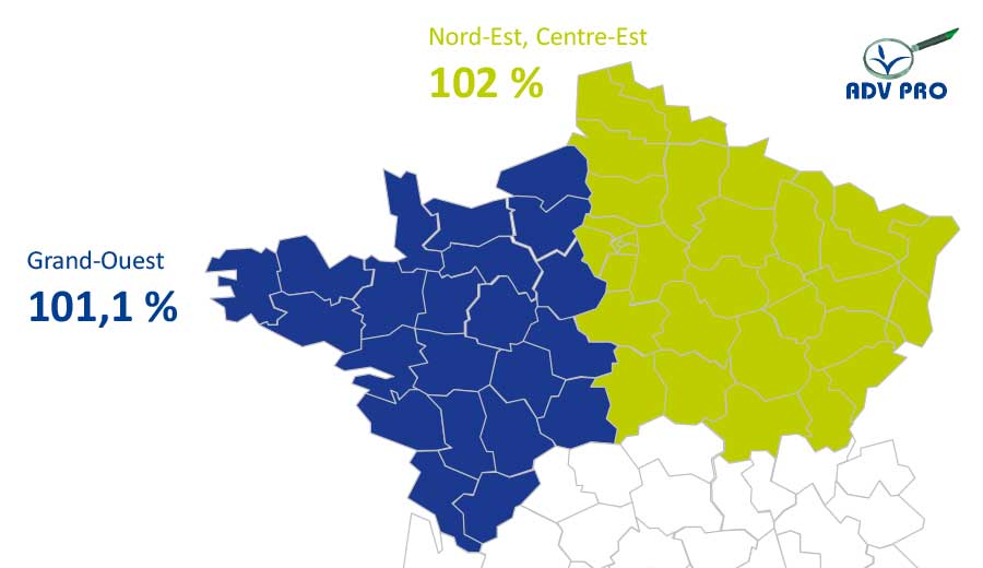 rendement mais fourrage matthew