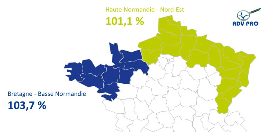 rendement mais fourrage prosper