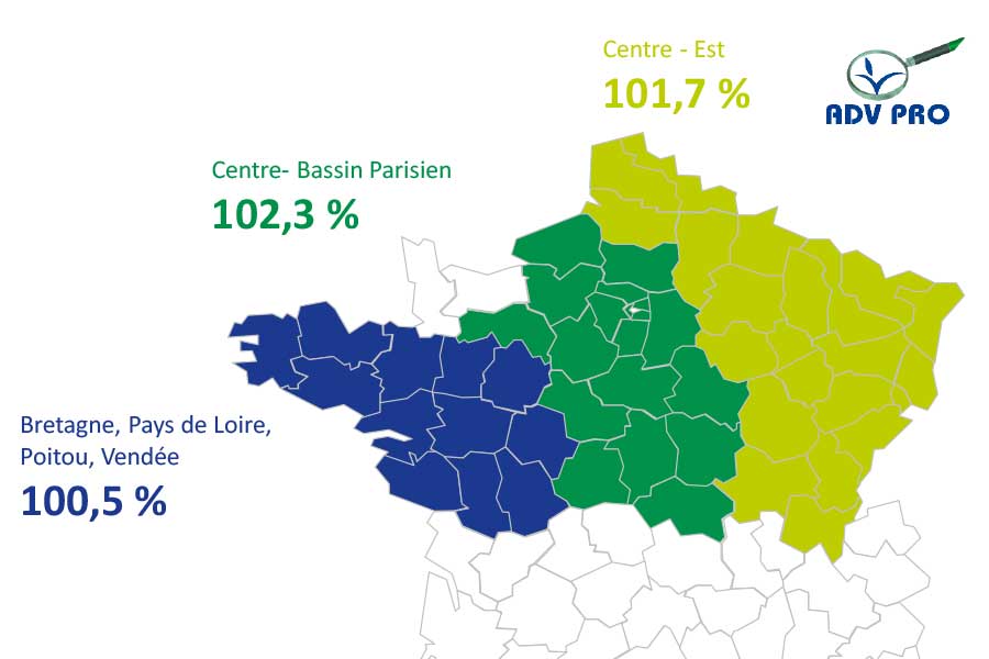 rendement mais grain shelbey