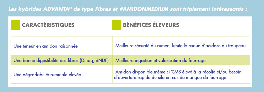 Benefice amidon medium