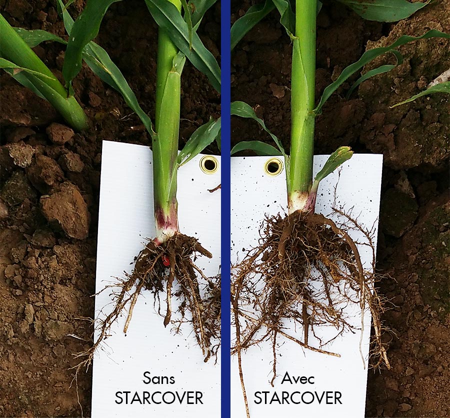 TK Trgomeur 20180621 091748ASSEMBLAGE