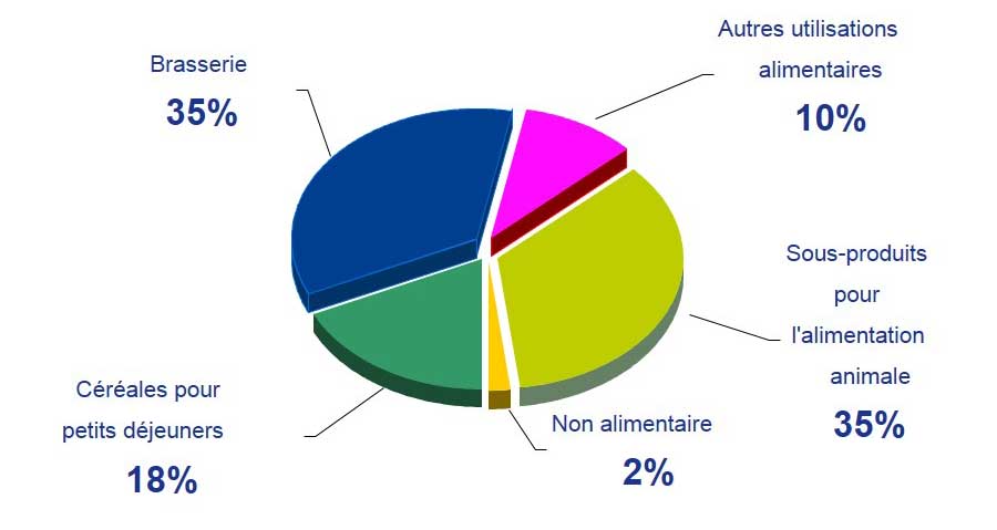 graph marche semoulier
