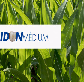 Maïs fourrage profil Amidon Médium Maïs fourrage profil Amidon Médium