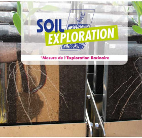 SOIL EXPLORATION SOIL EXPLORATION