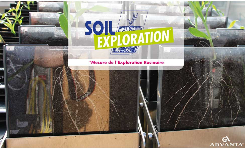 SOIL EXPLORATION