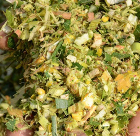 Éclatement des grains