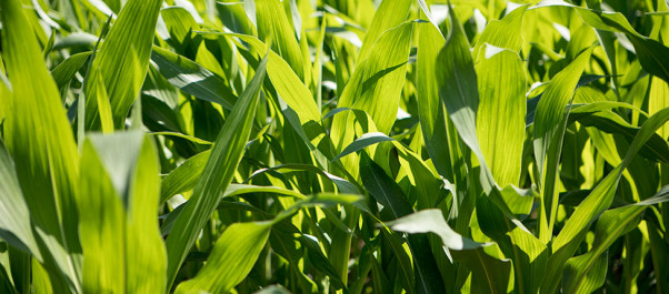 Landing page d'exemple