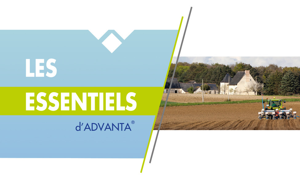 Les essentiels d'Advanta