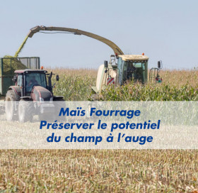 Les essentiels d’Advanta n°1 Les essentiels d’Advanta n°1