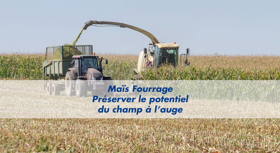 Les essentiels d’Advanta n°1