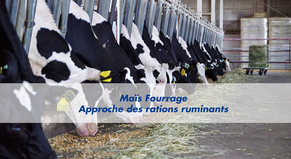 Les essentiels d'Advanta n°2