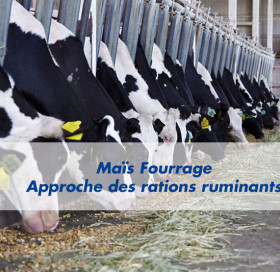 Les essentiels d'Advanta n°2 Les essentiels d'Advanta n°2