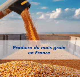 Les essentiels d’Advanta n°3 Les essentiels d’Advanta n°3