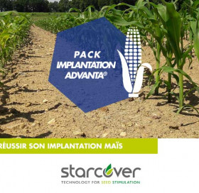 Optimiser son implantation maïs Optimiser son implantation maïs