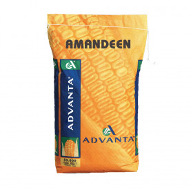 AMANDEEN AMANDEEN