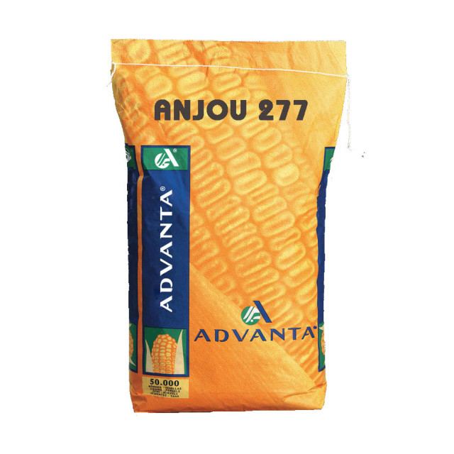 ANJOU 277