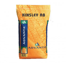 KINSLEY AB KINSLEY AB