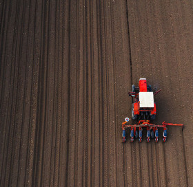 Comment réussir son semis maïs ? Comment réussir son semis maïs ?